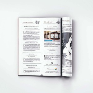 Journal 2013